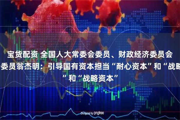 宝货配资 全国人大常委会委员、财政经济委员会副主任委员翁杰明：引导国有资本担当“耐心资本”和“战略资本”