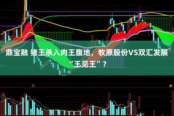 鼎宝融 猪王杀入肉王腹地，牧原股份VS双汇发展“王见王”？