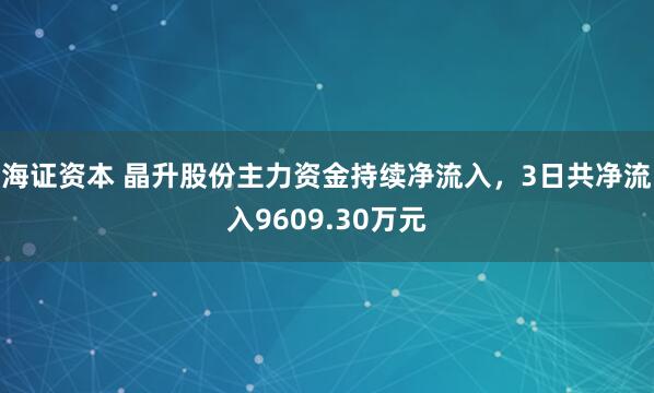 海证资本 晶升股份主力资金持续净流入，3日共净流入9609.30万元