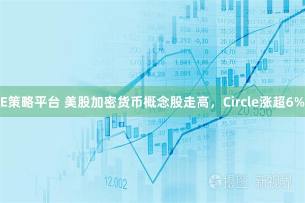 E策略平台 美股加密货币概念股走高，Circle涨超6%