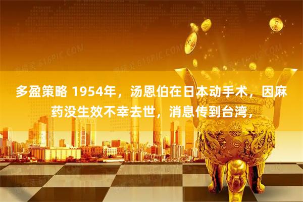 多盈策略 1954年，汤恩伯在日本动手术，因麻药没生效不幸去世，消息传到台湾，