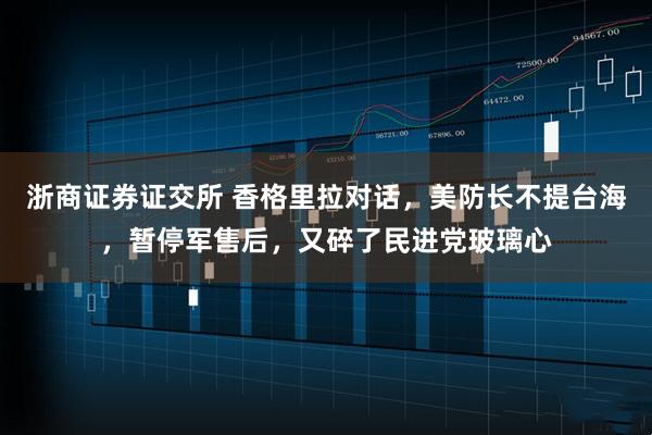 浙商证券证交所 香格里拉对话，美防长不提台海，暂停军售后，又碎了民进党玻璃心