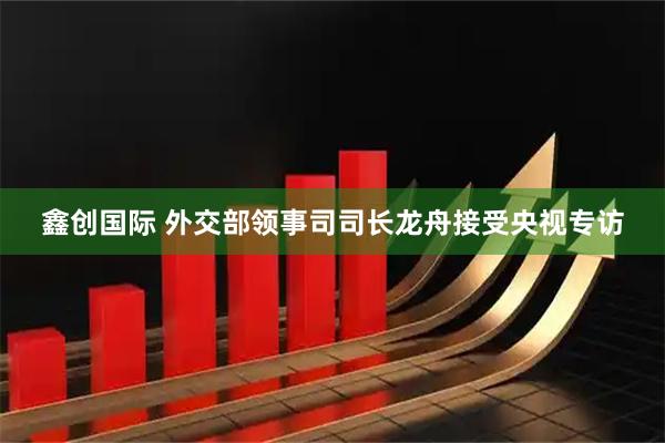 鑫创国际 外交部领事司司长龙舟接受央视专访