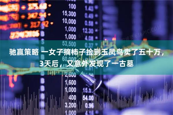 驰赢策略 一女子摘柿子捡到玉凤鸟卖了五十万，3天后，又意外发现了一古墓
