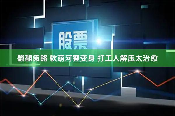 翻翻策略 软萌河狸变身 打工人解压太治愈