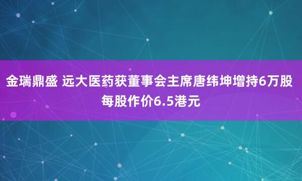 金瑞鼎盛 远大医药获董事会主席唐纬坤增持6万股 每股作价6.5港元