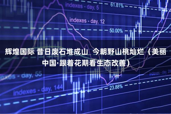 辉煌国际 昔日废石堆成山  今朝野山桃灿烂（美丽中国·跟着花期看生态改善）