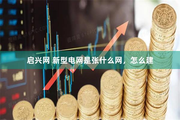 启兴网 新型电网是张什么网，怎么建