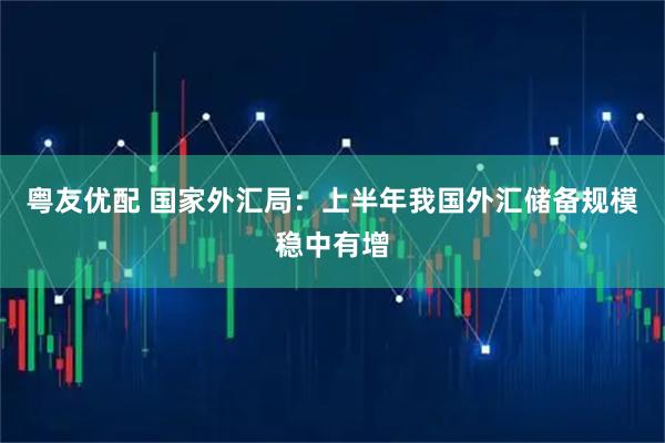 粤友优配 国家外汇局:上半年我国外汇储备规模稳中有增